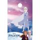 Frozen Elsa Enamel Pin