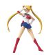 Pretty Guard Sailor Moon S.H.Figuarts Anime Color Edition