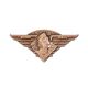 Rocketeer Thrill Club 3In Enamel Pin