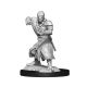 D&D Mini's: Warforged Monk