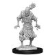 D&D Mini's: Scarecrow & Stone Cursed