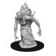 Dungeons & Dragons Nolzars Marvelous Mini Annis Hageladrin