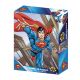 Superman DC Comics 300 Piece 3D Lenticular Puzzle