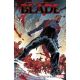 Blade Vol 1 Mother Of Evil