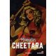 Thundercats Cheetara Vol 1 Direct Market