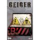 Geiger Vol 2 Direct Market Exclusive Gary Frank & Brad Anderson Cover