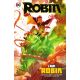 Robin Vol 2 I Am Robin