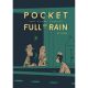 Pocket Full Of Rain And Other Stories Expanded Edition