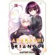 Ayakashi Triangle Vol 13