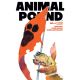 Animal Pound #4 Cover D FOC Reveal