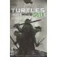 Teenage Mutant Ninja Turtles Black White & Green #2 Cover B Love