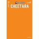 Thundercats Cheetara #1 Cover W Orange Blank Authentix