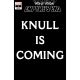 Web Of Venom Empyres End #1 Knull Is Coming Variant