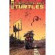 Teenage Mutant Ninja Turtles #144 Cover B Eastman