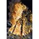 Terminator #1 Cover S 1:40 Ross Burning Earth Icon Virgin