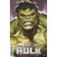 Incredible Hulk #18 Ryan Brown Variant