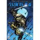 Teenage Mutant Ninja Turtles #3 Cover C Eastman