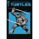 Teenage Mutant Ninja Turtles #3 Cover E Chiang