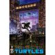 Teenage Mutant Ninja Turtles #3 Cover F 1:25 Earls