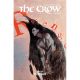 Crow Dead Time #1 Cover E 1:25 Maleev