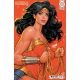 Wonder Woman #14 Cover C David Nakayama Card Stock Variant