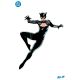 Catwoman #69 Cover D Daniel Sampere All In Foil Variant