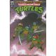 Teenage Mutant Ninja Turtles Saturday Morning Adventures #11 Cover B Lawrence