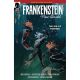 Frankenstein New World Sea Of Forever #2