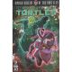 Teenage Mutant Ninja Turtles Untold Destiny Of Foot Clan #3