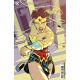 Wonder Woman Evolution #5 Cover B Cully Hamner Card Stock