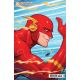 Flash #795 Cover B David Nakayama Card Stock Variant