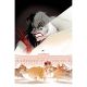 Disney Villains Cruella De Vil #4 Cover E 1:10 Boo Virgin Variant