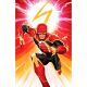 Flash #19 Cover B David Nakayama Card Stock Variant