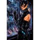 Catwoman #74 Cover C Dan Panosian Card Stock Variant