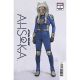 Star Wars Ahsoka #3 1:10 Concept Art Variant