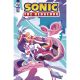 Sonic The Hedgehog #73 Cover C 1:10 Fourdraine