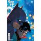 Batman And Robin #13 Cover E 1:25 Christian Ward Card Stock Variant