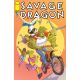 Savage Dragon #273 Cover C Fernando Pinto Variant