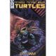 Teenage Mutant Ninja Turtles #97 Cover B Eastman