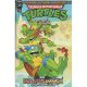 IDW Endless Summer Teenage Mutant Ninja Turtles Saturday Morning Adv Cover B