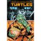 Teenage Mutant Ninja Turtles #2 Cover B Shaw