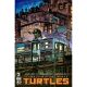 Teenage Mutant Ninja Turtles #2 Cover F 1:25 Earls