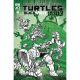 Teenage Mutant Ninja Turtles Black White & Green #4 Cover C 1:10 Catalan Foil