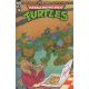 Teenage Mutant Ninja Turtles Saturday Morning Adventures #16 Cover B Kazaleh