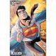 Superman #17 Cover B Tony S Daniel Card Stock Variant