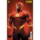 Flash #12 Cover B Rafael Grassetti Card Stock Variant