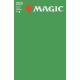 Magic The Gathering (MTG) #2 Cover C Blank Sketch Cover