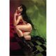 Vampirella #669 Cover L 1:25 Cohen Virgin Variant