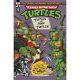 Teenage Mutant Ninja Turtles Saturday Morning Adventures #13