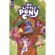 My Little Pony #15 Cover B Pinto